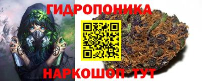 прущие крисы Нягань